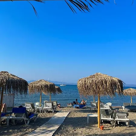 Theodorou Aparthotel Psalidi (Kos)
