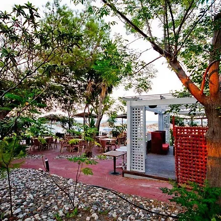 Aparthotel Theodorou