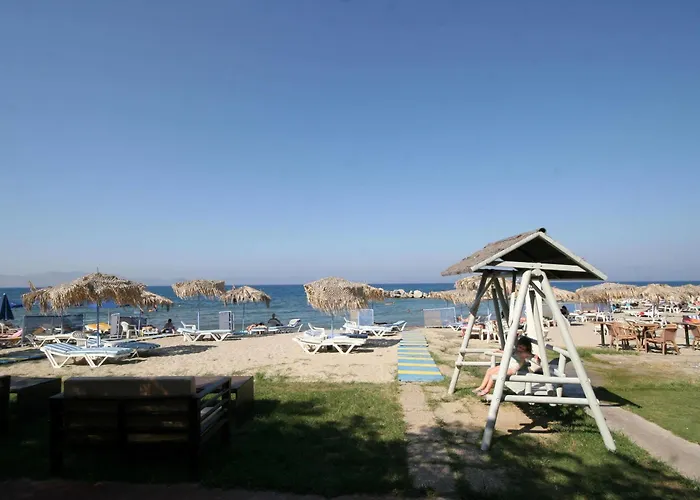 特奥多海滩公寓酒店 公寓式酒店 帕萨里迪