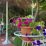 特奥多海滩公寓酒店 公寓式酒店 帕萨里迪
