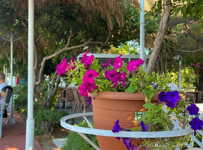 Theodorou Hotel de apartamente Psalidi (Kos)