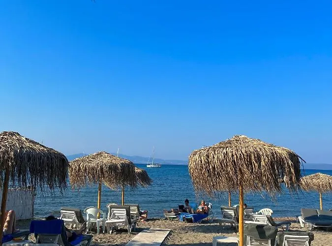 Theodorou Hotel de apartamente Psalidi (Kos)