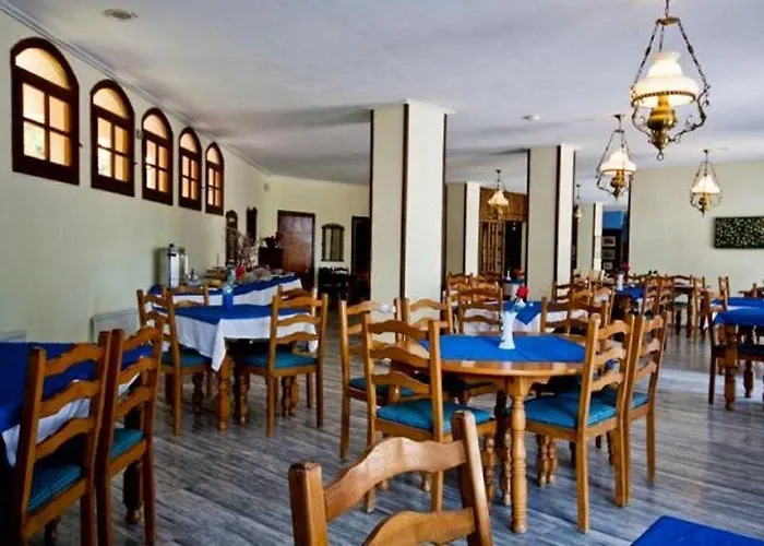 Hotel de apartamente Theodorou